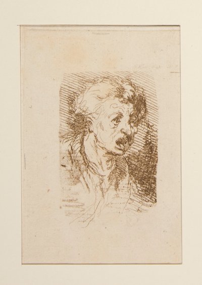 (GŁOWA D autorstwa Paul Gavarni