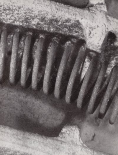 Żarnik ognia elektrycznego (zdjęcie czarno-białe) autorstwa Paul Henning