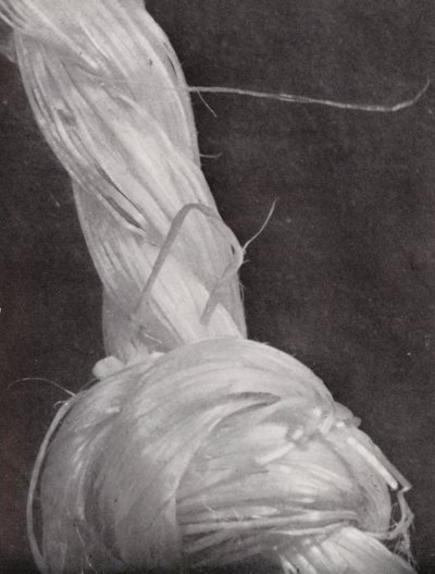 Zawiązany kawałek sznurka (zdjęcie czarno-białe) autorstwa Paul Henning