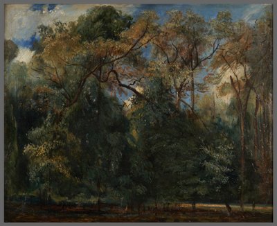 Wiązy w Saint-Cloud autorstwa Paul Huet