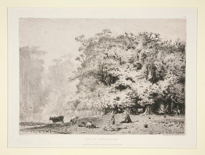 Lasy w pobliżu Fontainebleau autorstwa Paul Huet
