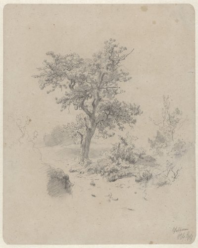 Pejzaż z dębem autorstwa Paul Joseph Constantin Gabriel