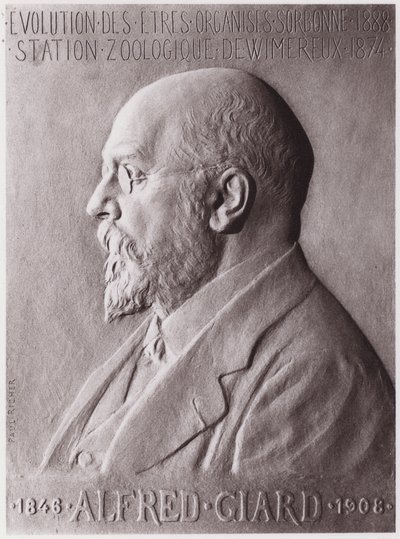 Alfred Giard (1846-1908), zoolog, portret (lito) autorstwa Paul Marie Louis Pierre Richer