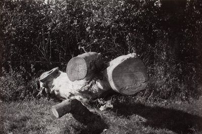 Wyszukiwanie obiektów autorstwa Paul Nash