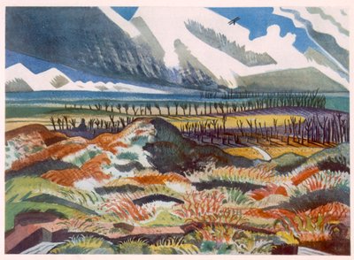Zrujnowany kraj, Vimy, z brytyjskich artystów na froncie, kontynuacja frontu zachodniego, część trzecia, Paul Nash autorstwa Paul Nash