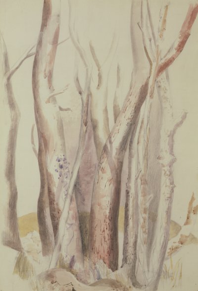 Studium leśnego krajobrazu autorstwa Paul Nash