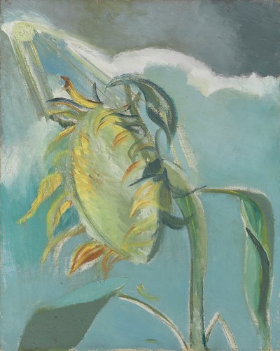 Słonecznik i Słońce, ok. 1945 (olej na płótnie) autorstwa Paul Nash