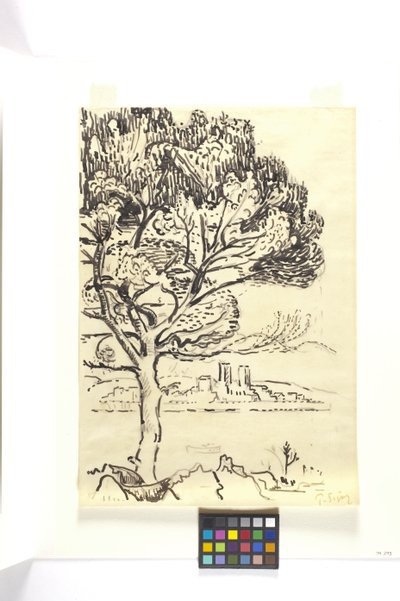 Antibes, parasolowa sosna na pierwszym planie (Antibes, Pin Pignon Au Premier Plan) (rysunek czarnym tuszem czarnym ołówkiem na jasnobrązowym papierze) autorstwa Paul Signac