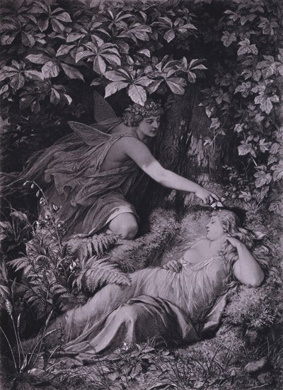 Scena ze „Snu nocy letniej” Szekspira (akt IV, scena 1) (lito) autorstwa Friedrich Paul Thumann