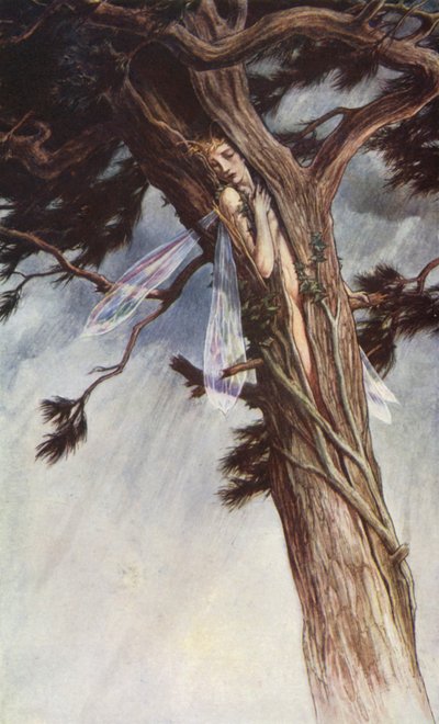 Burza Williama Szekspira, Akt I, Scena 2 (litografia kolorowa) autorstwa Paul Vincent Woodroffe