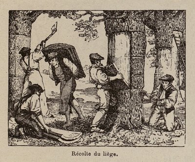  autorstwa Paul de Laubadere