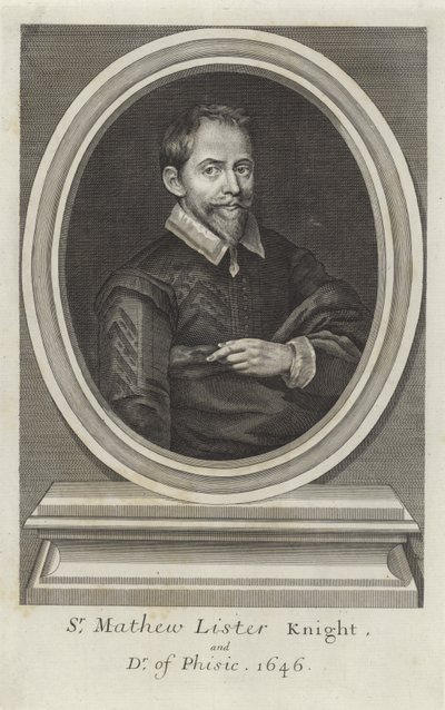 Sir Mateusz Lister autorstwa Paul van Somer