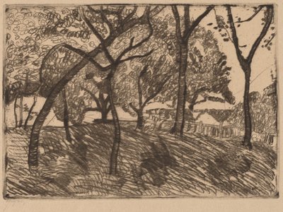 Krajobraz z drzewami autorstwa Paula Modersohn Becker