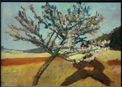 P.Modersohn-Becker, Mężczyzna leżący pod kwitnącym drzewem autorstwa Paula Modersohn Becker