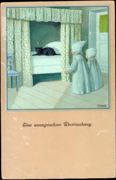 Nieprzyjemna niespodzianka autorstwa Pauli Ebner