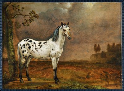 Le cheval pie - koń w cętki ... autorstwa Paulus (attr.to) Potter