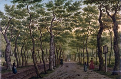 Herepad w Haagse Bos autorstwa Paulus Constantin La Fargue