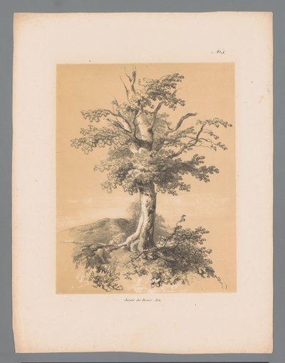 Bum Malownicze twarze Paulusa Lautersa (tytuł serii) Etrennes pittoresques pour 1839, autorstwa Lautersa (tytuł serii) autorstwa Paulus Lauters
