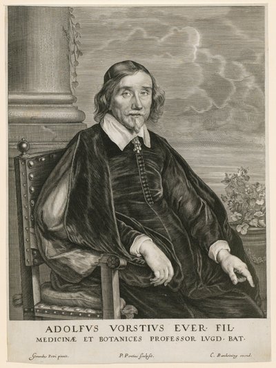 Portret Adolpha Vorsta, profesora w Lejdzie autorstwa Paulus Pontius