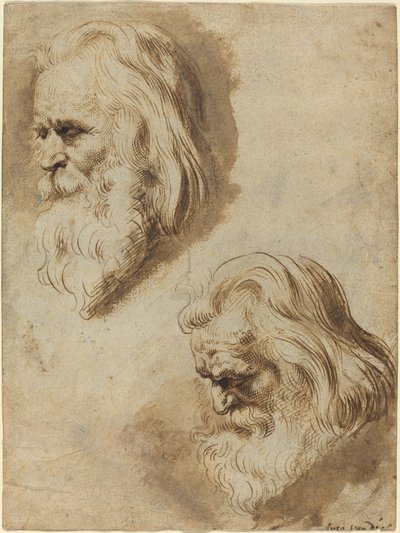 Dwa badania głowy starszego mężczyzny autorstwa Paulus Pontius after Sir Peter Paul Rubens