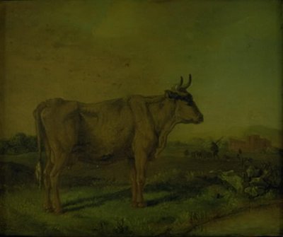 Krowa autorstwa Paulus Potter