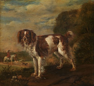 Spaniel autorstwa Paulus Potter