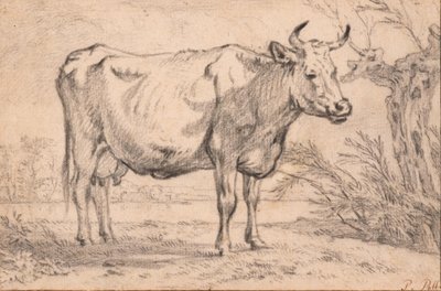  autorstwa Paulus Potter
