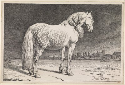  autorstwa Paulus Potter