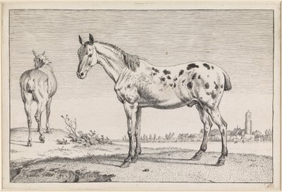  autorstwa Paulus Potter