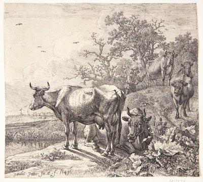  autorstwa Paulus Potter