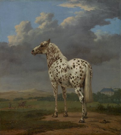 Koń łaciaty, ok. 1654 autorstwa Paulus Potter