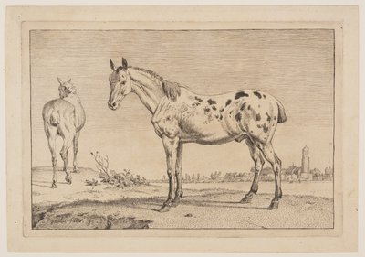 Neighing Horse, z serii o koniach autorstwa Paulus Potter