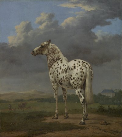 Koń "Piebald", ok.1650-4 (olej na płótnie) autorstwa Paulus Potter