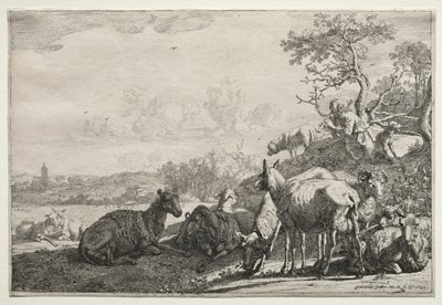 Pasterz, 1644. autorstwa Paulus Potter