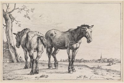  autorstwa Paulus Potter