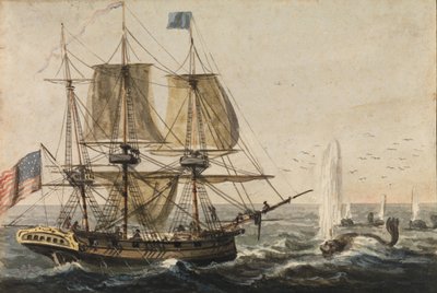 Uzupełnianie spiżarni statku dorszem u wybrzeży Nowej Fundlandii, 1811-ca. 1813. autorstwa Pavel Petrovic Svin