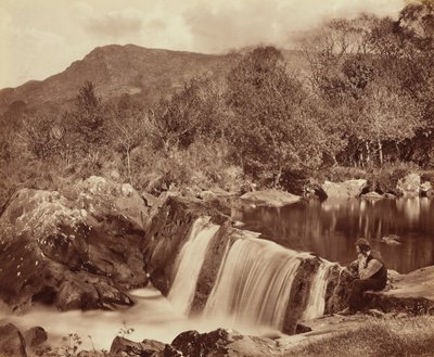 Wodospad, hrabstwo Wicklow, ok. 1870 (zdjęcie) autorstwa Payne Jennings