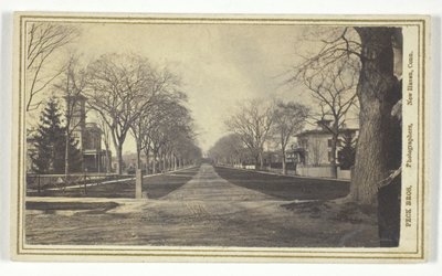 Hillhouse Avenue autorstwa Peck Brothers
