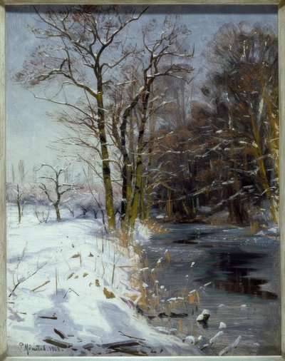 Słoneczny zimowy dzień autorstwa Peder Monsted