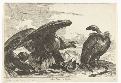Sęp i orzeł z wężem 1. des Aigles 2. Gryf (tytuł na obiekcie) Ptaki z Menażerii Wersalskiej (tytuł serii) autorstwa Peeter Boel (attributed to)