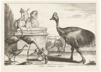 Kazuary, fioletowe łyski i flamingi 1. Bleuets 2 Becharoux 3. Casuels (tytuł na obiekcie) Ptaki z Menażerii Wersalskiej (tytuł serii) autorstwa Peeter Boel (attributed to)