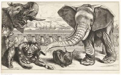 Słonie, lwy i rysie w ogrodach Wersalu autorstwa Peeter Boel (attributed to)