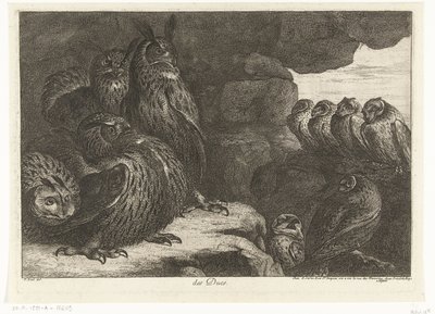 Sowy w jaskini des Ducs (tytuł na obiekcie) Ptaki z Menażerii Wersalskiej (tytuł serii) autorstwa Peeter Boel (attributed to)