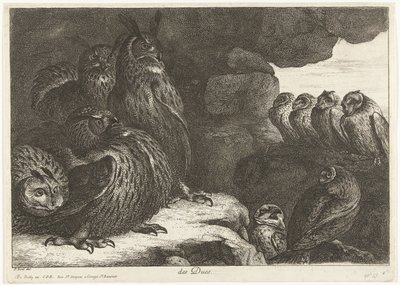 Sowy w jaskini des Ducs (tytuł na obiekcie) Ptaki z Menażerii Wersalskiej (tytuł serii) autorstwa Peeter Boel (attributed to)