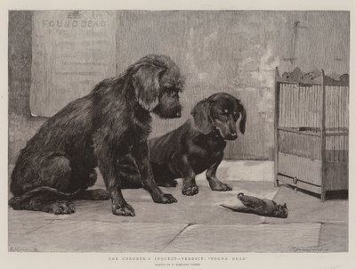 Dochodzenie koronera, werdykt, znaleziony martwy autorstwa Percy Harland Fisher