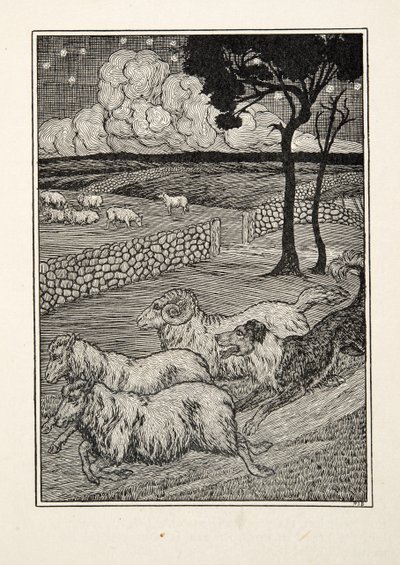 Złodziej owiec psów, z „Stu anegdot zwierząt”, wyd. 1924 autorstwa Percy J. Billingshurst