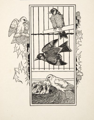 Charytatywny Kanarek, ze Sto anegdot zwierząt, wyd. 1924 autorstwa Percy J. Billingshurst