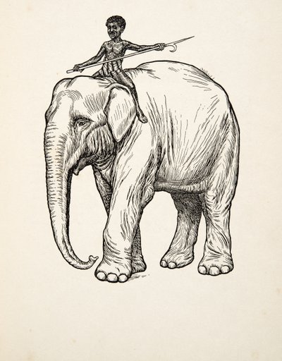 Wyrzuty sumienia, z „Stu anegdot zwierząt”, wyd. 1924 autorstwa Percy J. Billingshurst