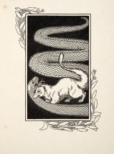 Niszczyciele węży, z „Stu anegdot zwierząt”, wyd. 1924 (grawerowanie) autorstwa Percy J. Billingshurst