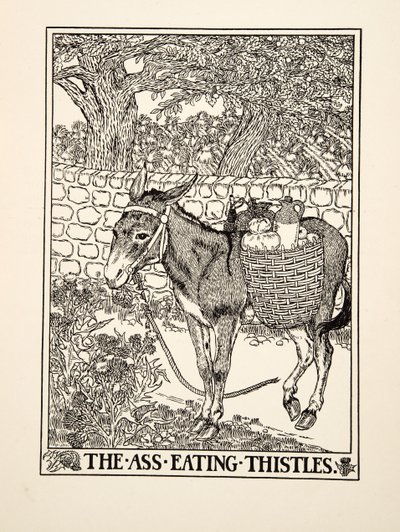 Osioł jedzący osty, z Stu bajek Ezopa, wyd. 1903 autorstwa Percy J. Billingshurst